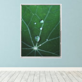 Verse Dauw Druppels Canvas Afdruk (Insitu (Houten vloer))