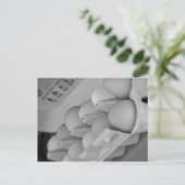 Verse eieren briefkaart (Staand voorkant)