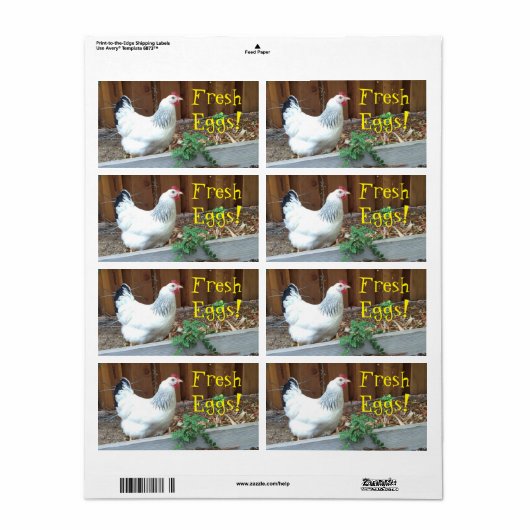 Verse eieren etiket (Full Sheet)