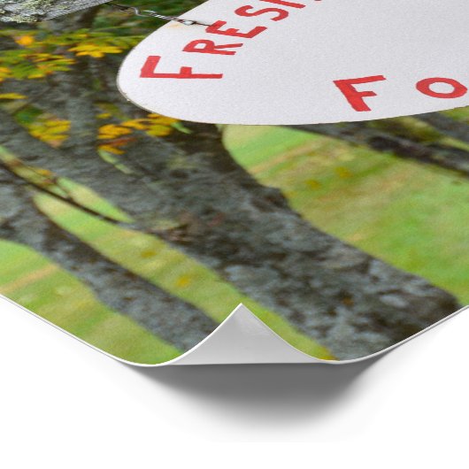 Verse eieren voor verkoop in de scheepsbouw te Ver Poster (Hoek)