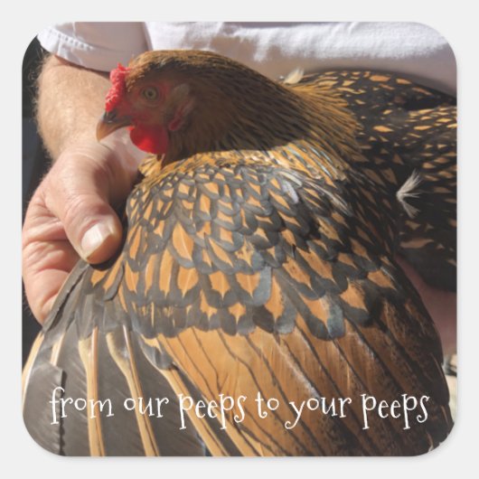 Verse eierstickers vierkante sticker (Voorkant)