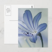 Verse foto van blauwe bloem briefkaart (Voorkant / Achterkant)