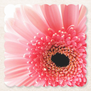 Verse foto van roze Gerbera-madeliefje Kartonnen Onderzetters