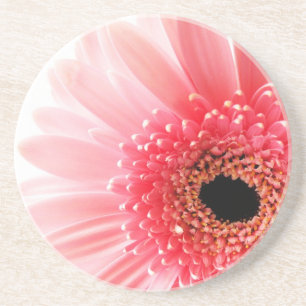 Verse foto van roze Gerbera-madeliefje Zandsteen Onderzetter