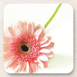 Verse foto van roze Gerbera-margriet Onderzetter