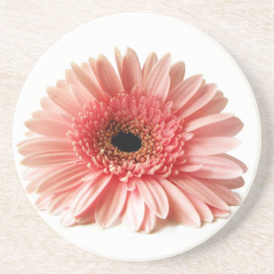 Verse foto van roze Gerbera-margriet Zandsteen Onderzetter