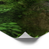 Verse frisse groene natuurlijke waterval poster (Hoek)