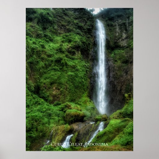 Verse frisse groene natuurlijke waterval poster (Voorkant)
