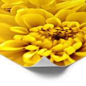 Verse gele bloemen Close-up Poster (Hoek)