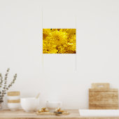 Verse gele bloemen Close-up Poster (Keuken)