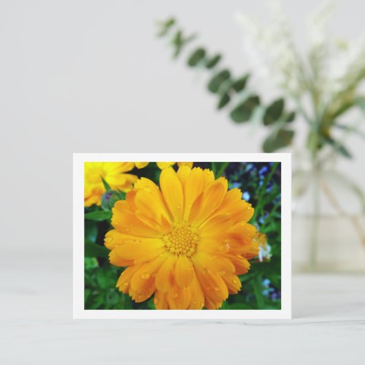 , verse gele maisbloem briefkaart (Staand voorkant)