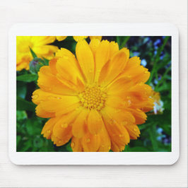 , verse gele maisbloem muismat