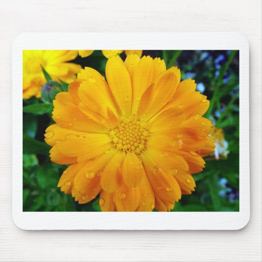 , verse gele maisbloem muismat (Voorkant)