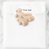 Verse gember ronde sticker (Tas)