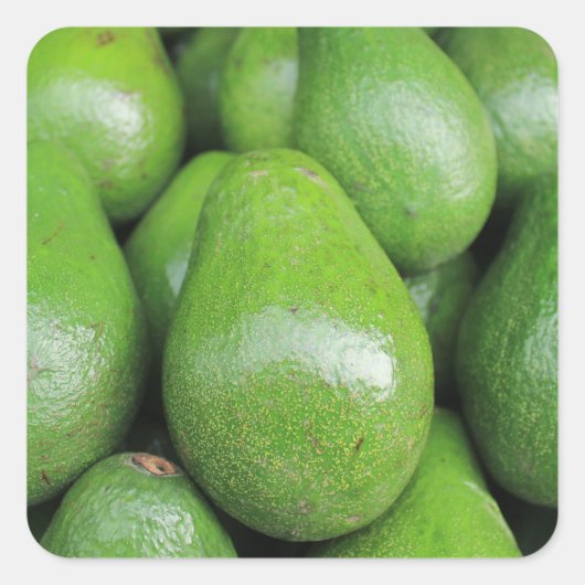 Verse groene avocado's vierkante sticker (Voorkant)