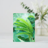 Verse groene bladeren briefkaart (Staand voorkant)