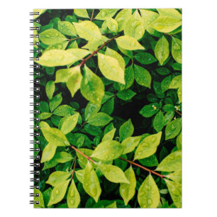 verse groene bladeren zien er mooi uit en heel nat notitieboek