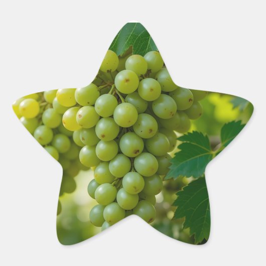 Verse Groene Druif Ster Sticker (Voorkant)