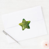 Verse Groene Druif Ster Sticker (Envelop)