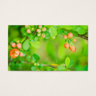 Verse groene en rode bloemen visitekaartjes