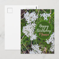 Verse groene en witte bloemen Gelukkige verjaardag