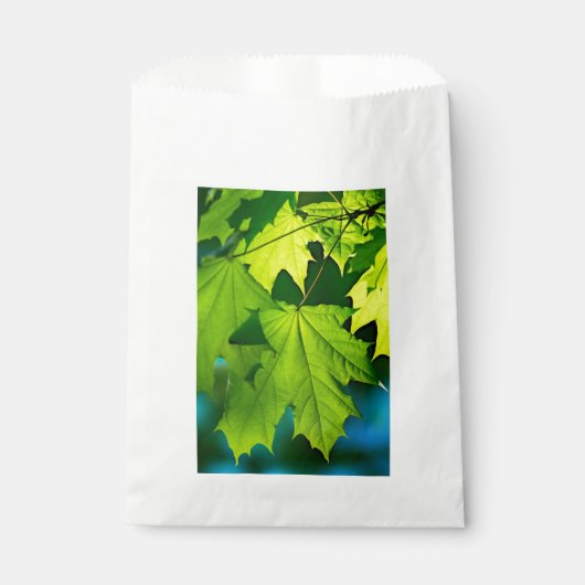 Verse groene esdoorbladeren bedankzakje (Voorkant)