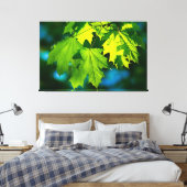 Verse groene esdoorbladeren canvas afdruk (Insitu (Slaapkamer))