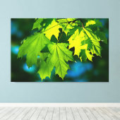 Verse groene esdoorbladeren canvas afdruk (Insitu (Houten vloer))