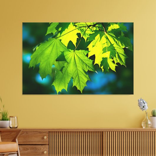 Verse groene esdoorbladeren canvas afdruk (Insitu (Woonkamer))