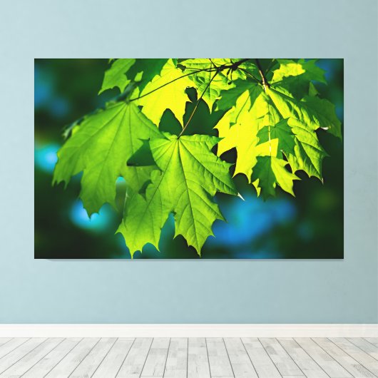 Verse groene esdoorbladeren canvas afdruk (Insitu (Houten vloer))