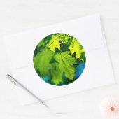 Verse groene esdoorbladeren ronde sticker (Envelop)