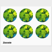 Verse groene esdoorbladeren ronde sticker (Vel)
