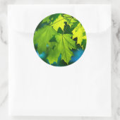 Verse groene esdoorbladeren ronde sticker (Tas)