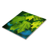 Verse groene esdoorbladeren tegeltje (Zijkant)