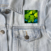 Verse groene esdoorbladeren vierkante button 5,1 cm (In situ)