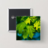 Verse groene esdoorbladeren vierkante button 5,1 cm (Voorkant /achterkant)
