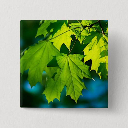 Verse groene esdoorbladeren vierkante button 5,1 cm (Voorkant)