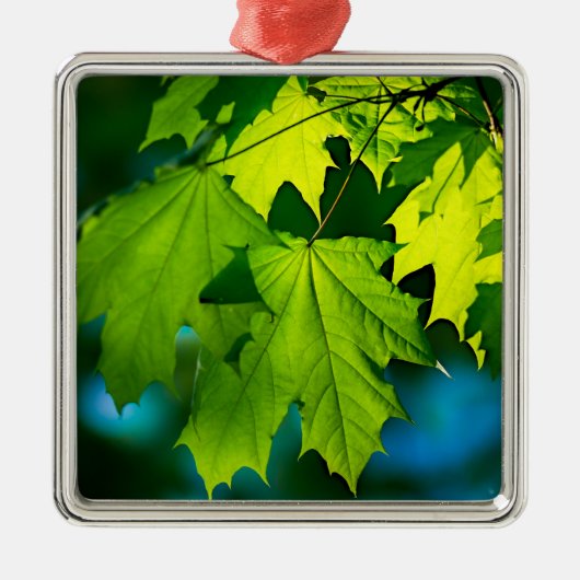 Verse groene esdoornbladeren metalen ornament (Voorkant)