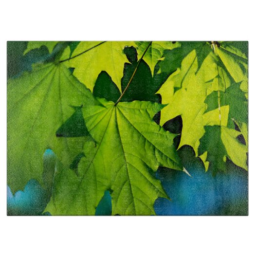 Verse groene esdoornbladeren snijplank (Voorkant)