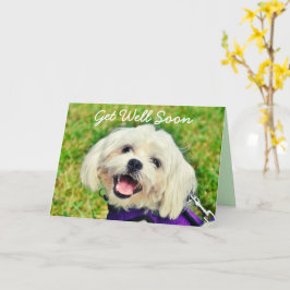 Verse groene hond en aanmoediging: goed Kaart