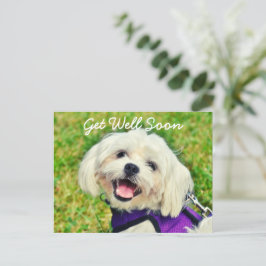 Verse groene hond en aanmoediging krijgen goed briefkaart