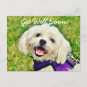 Verse groene hond en aanmoediging krijgen goed briefkaart (Voorkant)