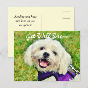 Verse groene hond en aanmoediging krijgen goed briefkaart