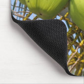 verse groene kokosnoten muismat (Hoek)