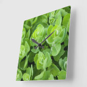 Verse groene lente bladeren vierkante klok (Hoek)