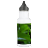 Verse groene Natuur Waterfles (Links)
