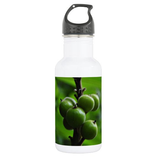 Verse groene Natuur Waterfles (Voorkant)