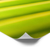 Verse groene palmoverbladeren poster (Hoek)