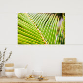 Verse groene palmoverbladeren poster (Keuken)