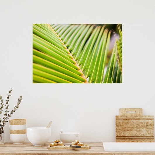 Verse groene palmoverbladeren poster (Keuken)